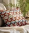 Printed & Embroidered Decorative throw Cushion Cover16*16 inches For Living Room Sofa (Multicolor shadow Embroidery) cotton